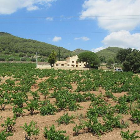 Casa Rural Cal Marti El Pla de Manlleu Exterior foto