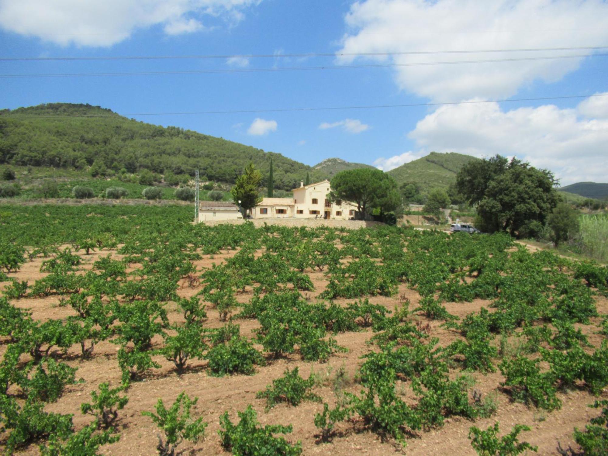 Casa Rural Cal Marti El Pla de Manlleu Exterior foto